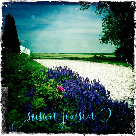 Summer Marsh 5x5